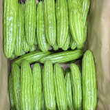 Jiemei No.5 Bitter Gourd Seeds - Vigorous Growth, Strong Adaptability, Mid-Early Hybrid Variety