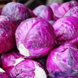 'Purple Crystal' Cabbage Seeds - Late-Maturing, Extended Harvest , Round & Splitting-Resistant Variety