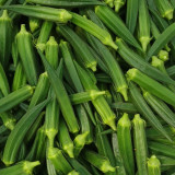 Lianglv No.2 Okra Seeds - Hybrid Variety, High Yield of Bright Green Pods, Ideal for Commercial Growers