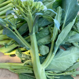 Wrinkle-leaf Mid-flowering Chinese Kale Seeds | Tender, Fast-Growing, High-Yield & Cold-Tolerant Variety