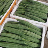 Jiemei Yaxiu No. 2 Luffa Seeds - Adaptable, Easy to Manage, for Spring & Summer Planting