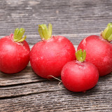 Meiying Cherry Radish Seeds - High-Yield, Premium Variety, Fast-Growing and Easy to Cultivate