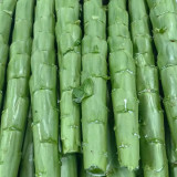 'Jiemei' Green Celtuce Seeds - High-Yield, Stable Yield, Stress Tolerant, Crisp & Fragrant Flesh