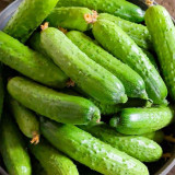 'Cuimei 188' Mini Cucumber Seeds - Uniform Fruit, Early-Maturing, High-Yield, Disease-Resistant