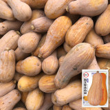 'Jiemei' Miben Pumpkin Seeds - F1 Hybrid, Sweet Glutinous Flesh, High Yield, Wide Adaptability