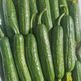 'Hemei 198' Mini Cucumber Seeds | Stable Yield, Disease Resistant, Crisp & Fragrant Fruit