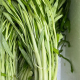 'JieMei' White-Stemmed Water Spinach Seeds - High-Yield, Disease-Resistant, Easy to Grow, Perfect for Beginners