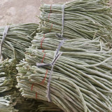 'Jiemei' Glossy White Long Bean Seeds - High-Yield, Disease-Resistant, High Marketability & Adaptable