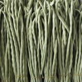 'Jiemei' Glossy White Long Bean Seeds - High-Yield, Disease-Resistant, High Marketability & Adaptable