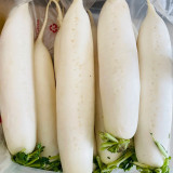 'Zao Luobo No. 13' White Radish Seeds - Fast-Growing, Smooth White Skin, Ideal for Warm Climates