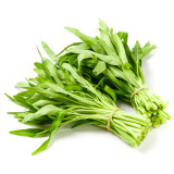Bamboo Leaf Water Spinach Seeds - Fast-Growing, High-Yield, Drought-Tolerant, Easy to Cultivate