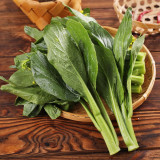 Guangdong Sijiu Choy Sum Seeds - Early Maturing Variety, High Yield, Premium Tender Shoots, Crisp Texture