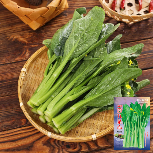Guangdong Sijiu Choy Sum Seeds - Early Maturing Variety, High Yield, Premium Tender Shoots, Crisp Texture