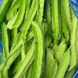 'Nongdianzan' Winged Bean Seeds - Four-Angled & Nutrient-Rich Pods, Drought Tolerant, Easy to Grow