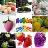 Japanese Strawberry Berry Sweet Fruit Indoor Outdoor Plant Seeds (Color: 15)