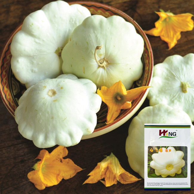 'White Flying Saucer' Gourd Seeds - High Yield, Compact Growth, Dual-Purpose Edible & Ornamental Variety