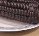 Waxy Maize Garden Plants Fruit Black Purple Corn Seeds