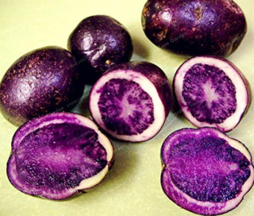 Purple Potato Seed Purple Sweet Potato Nutrition Green Vegetable
