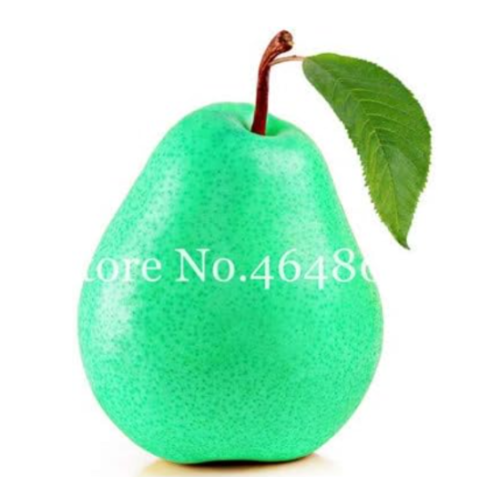 Pear Dwarf Seed Tree Super Sweet Juicy Nutritious Fragrant Pear (Color: 9)