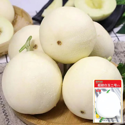 Super Sweet White Jade No.2 Melon Seeds - Early-Maturing, High-Yield, Highly Adaptable