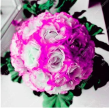 Geranium Seeds Perennial Flower Pelargonium Peltatum
