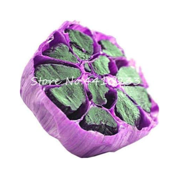 Black Garlic Seed Pure Natural Organic Healthy Pungent Spice Vegetable Seed (Color: 16)