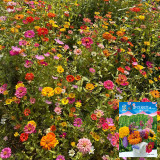 Wildflower Mix Seeds - Fast-Growing, Easy to Manage, Vibrant Colors, Perfect for Home Gardens