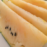 Color Fairy 14 Gift Watermelon Seeds – High Yield, Oblong Shape, Crack-Resistant Rind, Easy to Grow