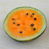 Rainbow No.1 Watermelon Seeds - Premium Hybrid Variety, Early Maturing, Easy to Grow, Orange-Yellow Flesh