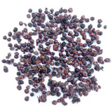 Mountain Grape Seeds - High Yielding, Easy to Grow, Low Maintenance, Suitable for All Gardeners