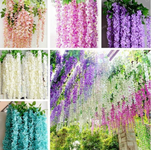 Wisteria Flower Seed Purple Yellow White Pink Wisteria Seed (Color: MIX)