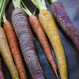 Rainbow Carrot Seeds - Colorful, Crisp Texture, Sweet Flavor, High Yield, Suitable for Home Garden Planting