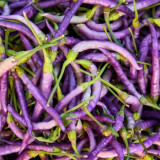 Cayenne Purple Pepper Seeds – Rich Fruity Aroma, High Yield, Easy to Grow, Ideal for Fresh Eating & Pickling