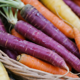 Rainbow Carrot Seeds - Colorful, Crisp Texture, Sweet Flavor, High Yield, Suitable for Home Garden Planting