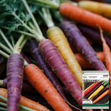 Rainbow Carrot Seeds - Colorful, Crisp Texture, Sweet Flavor, High Yield, Suitable for Home Garden Planting