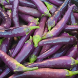 Cayenne Purple Pepper Seeds – Rich Fruity Aroma, High Yield, Easy to Grow, Ideal for Fresh Eating & Pickling