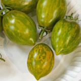 Mint Julep Tomato Seeds – Indeterminate, Unique Mint Flavored Cherry Tomato, Thick Juicy Flesh