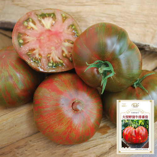 Big Cheef Steak Tomato Seeds - Premium Beefsteak Tomato with Meaty Flesh, Rich Flavor, and High Yield