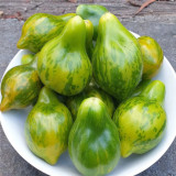 Mint Julep Tomato Seeds – Indeterminate, Unique Mint Flavored Cherry Tomato, Thick Juicy Flesh