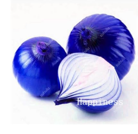 Giant Onion Seed, Onion Shallot, Organic Heirloom Fruit Vegetable (Color: 14)