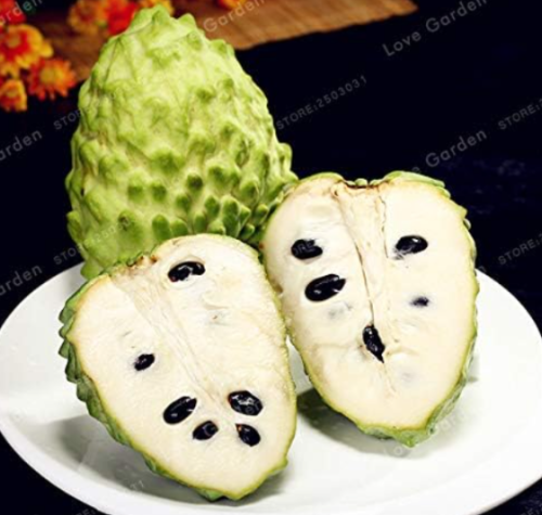 Graviola Annona Muricata Exotic Plant Seeds Green Fruit Seeds