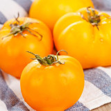 'Yellow Beauty' Beefsteak Tomato Seeds – Heirloom Variety, Sweet, Juicy, Sandy Texture, High-Yielding