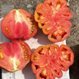 'Firenza' Ribbed Tomato Seeds – Italian Heirloom Variety, Disease-Resistant and Versatile