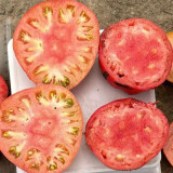 Classic Beefsteak Tomato Seeds – Old-Fashioned Flavor, High-Yielding & Reliable, Perfect for Slicing