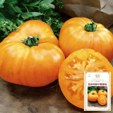 Kellogg's Breakfast Tomato Seeds - Orange beefsteak variety, sweet and rich flavor, high yielding