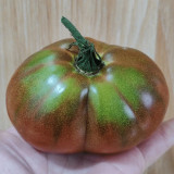 Blue Pear Tomato Seeds - Strong Disease Resistance, Vigorous Growth, Ideal for Garden and Container Cultivation