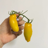 Yellow Banana Tomato Seeds – Unique Elongated Fruits, Sweet & Juicy, Ideal for Snacking, Salads, and Home Garden Planting