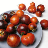 K Night Queen Tomato Seeds - Organic heirloom variety, easy to grow, ideal for home garden planting
