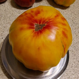 Cocktail Fruit Tomato Seeds - High yielding and easy to grow, with a rich flavor profile perfect for fresh eating and salads