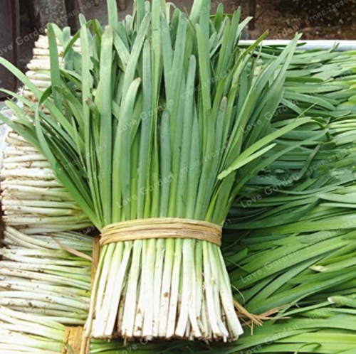 Garlic Chives Seed Chinese Organic Vegetable Seed Non-GMO Healthy Seed